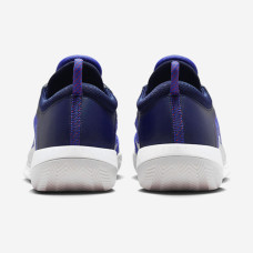 Теннисные кроссовки Nike Court Zoom NXT Clay DH2495-400