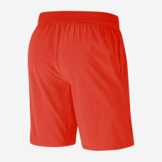 Теннисные шорты Nike Short Court Flex Ace CI9162-634