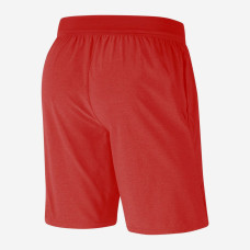 Теннисные шорты Nike Short Court Flex Ace CI9162-634