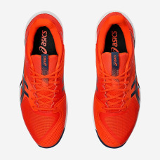 Теннисные кроссовки Asics Solution Speed FF 3 Clay 1041A437-800