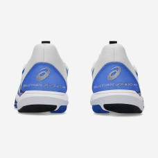 Теннисные кроссовки Asics Solution Speed FF 3 Clay 1041A437-100
