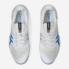 Теннисные кроссовки Asics Solution Speed FF 3 Clay 1041A437-100