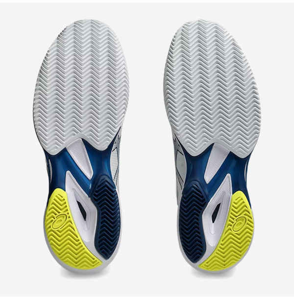 Теннисные кроссовки Asics Solution Speed FF 3 Clay 1041A437-102