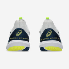 Теннисные кроссовки Asics Solution Speed FF 3 Clay 1041A437-102