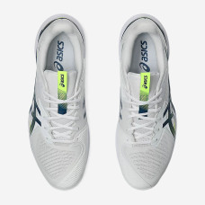 Теннисные кроссовки Asics Solution Speed FF 3 Clay 1041A437-102
