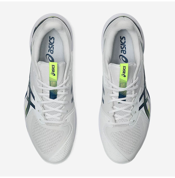 Теннисные кроссовки Asics Solution Speed FF 3 Clay 1041A437-102