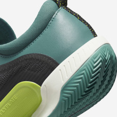 Теннисные кроссовки Nike Court Zoom NXT Clay DV3270-300