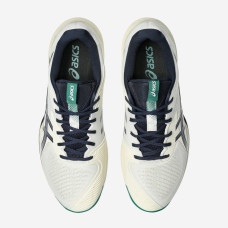 Теннисные кроссовки Asics Solution Speed FF 3 Clay 1041A437-104