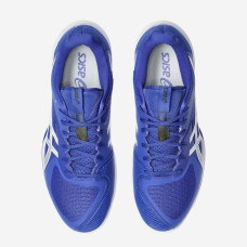 Теннисные кроссовки Asics Solution Speed FF 3 Clay 1041A437-401
