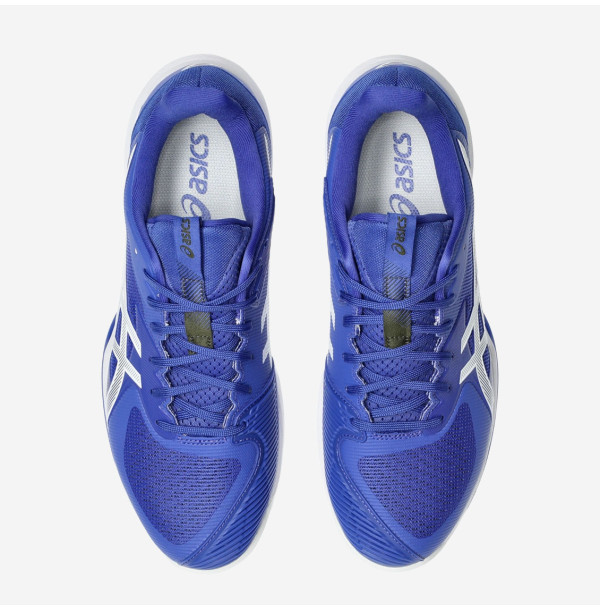 Теннисные кроссовки Asics Solution Speed FF 3 Clay 1041A437-401