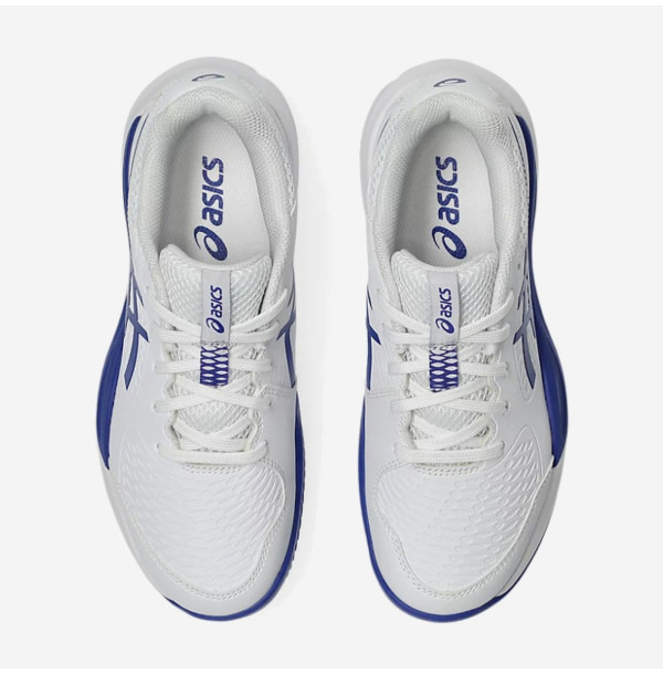 Теннисные кроссовки Asics Gel-Resolution X GS Clay 1044A080-100