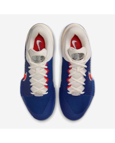 Тенісні кросівки Nike Zoom GP Challenge Pro Premium Clay HJ6768-500