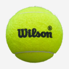 М'ячі для падл-тенісу Wilson Premier Padel Speed Balls 3ball WR8908501001