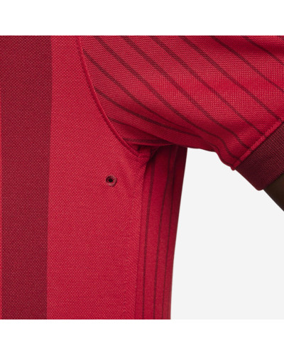 Тенісне поло Nike Polo Dri-Fit Heritage Print FD5398-677